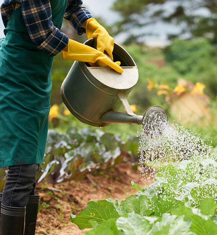 Mann gießt Wasser auf den Boden nach der Kontrolle der Bodenfeuchtigkeit auf der Karte